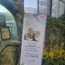[대구아이랑] 대구동물원 - 네이처파크