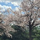 부천로264번길 이미지