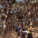 봉우리목장 | 금북정맥 11구간 나본들고개-가루고개+서산 가야산