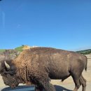 선유4리 도시계획도로 입구 | 후쿠오카 근교 소도시 벳푸 구마모토 2박 3일 렌트카 여행 코스와 비용 정리, 후기