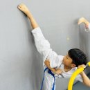 이루다태권도 이미지