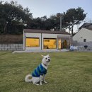 파머스데이