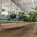 주식회사 퍼밋 이미지