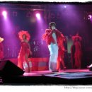 스타다이스 이미지