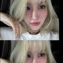 모모로 이미지