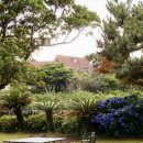 신효동-7 이미지