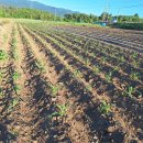 현자농장 이미지