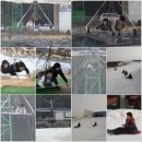 사르넬리 이미지