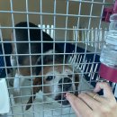 레인 켄넬 이미지