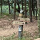 엘림카서비스 | 대청도 모래사막 가는법 낙타 볼 수 있는 곳 해안사구 옥죽포모래사막