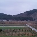읍내로 7 Daum카페