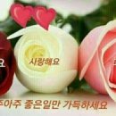미애네 - 중구 | 미애네