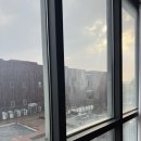 지혜의 숲 도서관 | 파주 출판도시 지혜의 숲 | 라이브러리스테이 지지향 숙박 후기 | 지지향 예약 방법