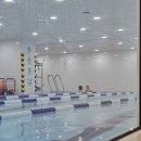 은평청소년수련관 | 은평구 키즈수영 - 로얄마린응암점 9개월차 다닌 솔직후기