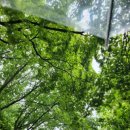 GS25 영등포더샵 이미지