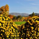 대구수목원 이미지