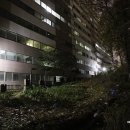 조서강묘 이미지