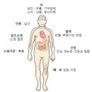 납 중독 (Lead Poisoning) 이란? 이미지