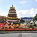 함평천지생태농장 | 전남 여행 2025 함평 국화축제 &#39;대한민국 국향대전&#39;