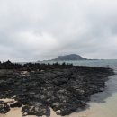 협재의바람 이미지