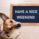 상문이두마리치킨 이미지