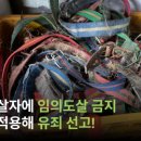 최신농장2호 이미지