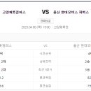 캐롯독 이미지
