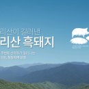 지리산청정흑돼지 이미지
