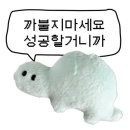 홀리몰리 - 유성구 상대동로36번길 62 | 홀리몰리