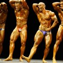 현대보디빌딩 이미지