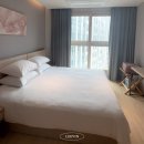 체스터톤스 - 34445 | 속초 체스터톤스 호텔 후기｜원룸 스탠다드 더블 숙박 후기, 가성비 숙소 예약 추천