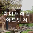 에버랜드 리버 트레일 어드벤처 솔직 후기 ｜ 코스, 예약방법, 가격 총정리