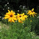 꽃소아청소년과의원 이미지