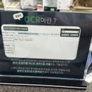 예스캔