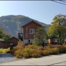 동강의낙원 이미지