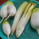 용무농장 이미지