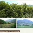 죽장축산 이미지