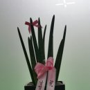 우리가축 인공수정소 이미지