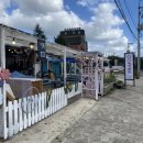 뉴하얏트모텔 이미지