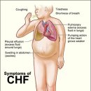 광주의상실 이미지