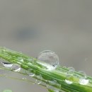 사람사는세상 이미지