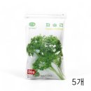 신영팩