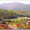 2010년 11월 7일(일) 축령산 자락 아침고요수목원 산책(초급) 이미지