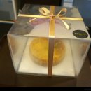 완도로뎀나무 이미지