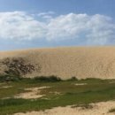 태안팜랜드 이미지