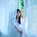 내생애봄날