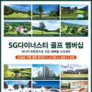 아우디스크린골프 이미지