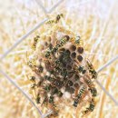 하트 앤 아트 학원 이미지