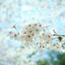 우리공인중개사사무소 이미지