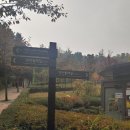 마장천 | 시장따라소소한걷기 7코스..후기